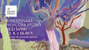 ilustrační obrázek