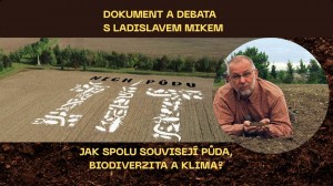 ilustrační obrázek