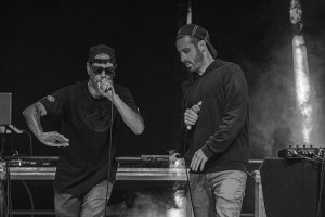 ilustrační obrázek