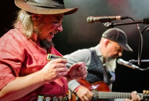 ilustrační obrázek