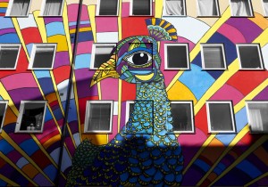 ilustrační obrázek